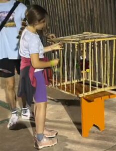 Actividades educativas para colegios en Valencia - Niña